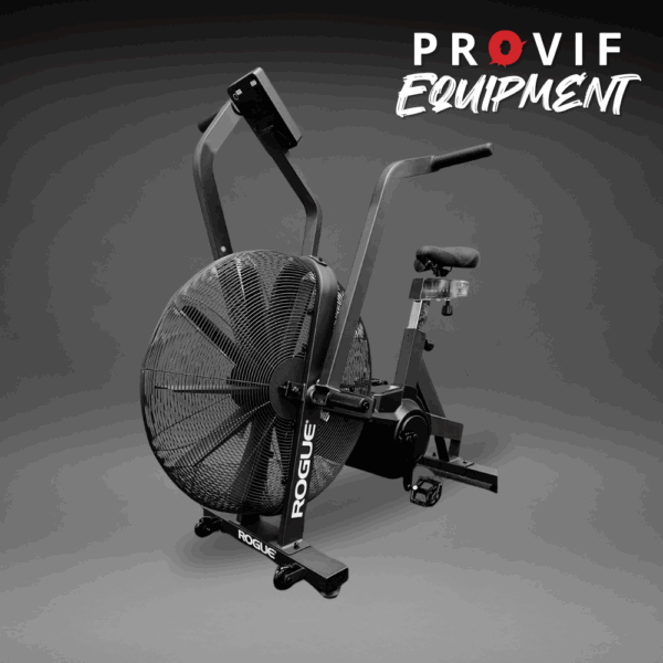 Bicicleta Fija Rogue Echo Bike V3.0 - Rendimiento Y Estilo