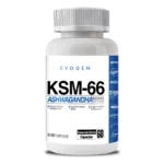 EVO KSM-66 Ashwagandha
